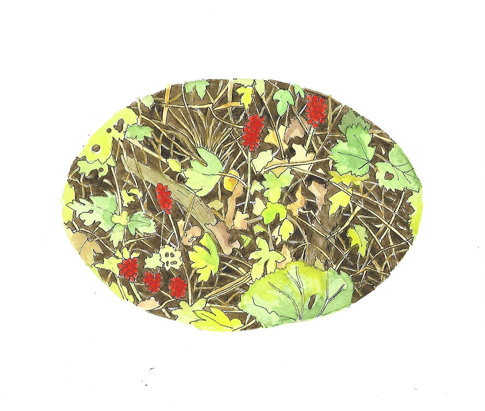 Well Dressings Bakewell